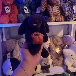 Inky bunny with pumpkin